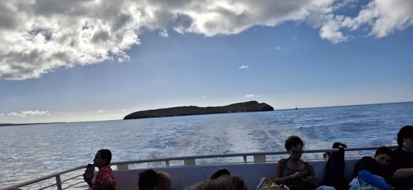 Pacific Whale Foundation by null