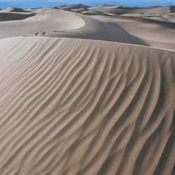 Mesquite Dunes at Death Valley National Park