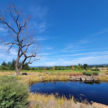 Domaine Willamette - pond area views - Wineries Near Me - Dayton, Oregon Domaine Willamette - pond area views - Wineries Near Me - Dayton, Oregon
