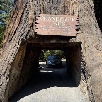 Drive-Thru Tree - Parks Near Me - Leggett, California Drive-Thru Tree - Parks Near Me - Leggett, California