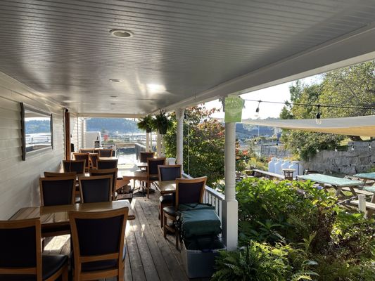 Fin and Fern by null