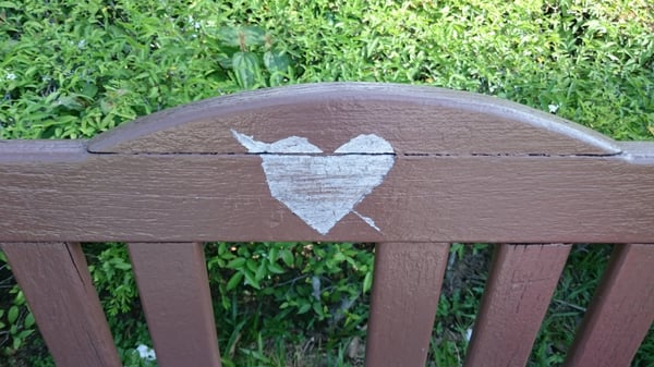 Mount Emily Park by null