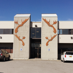 Anchorage Dental Group - Moose Entrance