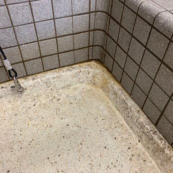 Pet Food Express - Dirt and Mold at the corner of the tile inside the bath. - Pet Stores Near Me - Oakland, California Pet Food Express - Dirt and Mold at the corner of the tile inside the bath. - Pet Stores Near Me - Oakland, California