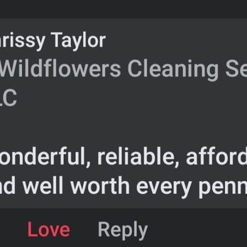Wildflowers Cleaning Service - The best clients - Home Cleaning Near Me Wildflowers Cleaning Service - The best clients - Home Cleaning Near Me