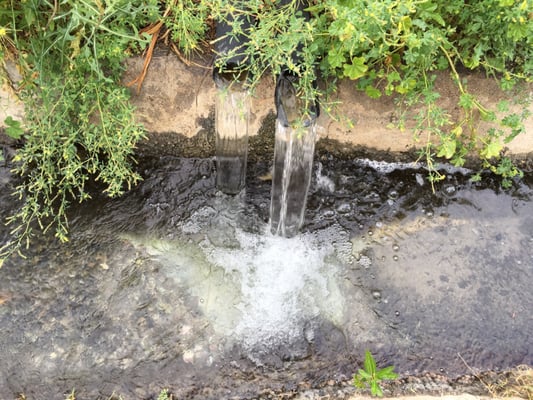 Shoshone Trailer RV Park by null