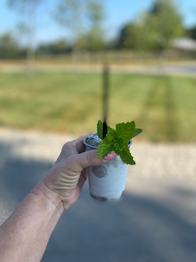 MINT JULEP EXPERIENCES LOUISVILLE Bus Tours at 210 W Liberty St