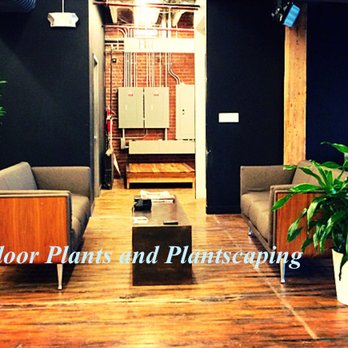 Isaiah's Figtree - Indoor Plants and Planscaping - Nurseries & Gardening Near Me - Fresh Meadows, New York Isaiah's Figtree - Indoor Plants and Planscaping - Nurseries & Gardening Near Me - Fresh Meadows, New York