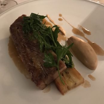 Wild Honey - Modern European Near Me - London, XGL