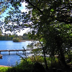 Linsfort Guesthouse - Lough Key Forest Park nearby
