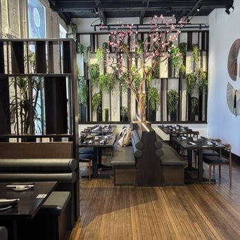 Kai Modern Japanese Kitchen - Inside - Japanese Near Me - Aurora, Illinois