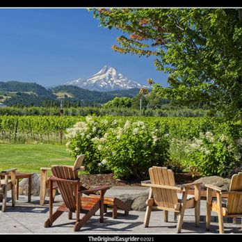 Mt Hood Winery - a view of mt hood from the patio - Wineries Near Me - Hood River, Oregon Mt Hood Winery - a view of mt hood from the patio - Wineries Near Me - Hood River, Oregon