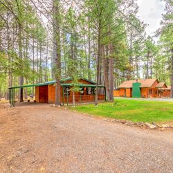Story Book Cabins - Cabin 02 Bear Watch