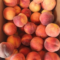 Peaches and more peaches... Peaches and more peaches...