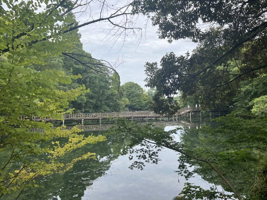 Inokashira Park by null