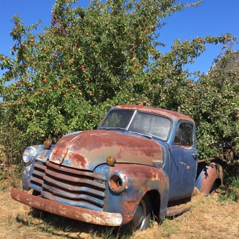 Lavender Connection - This old demaged truck with apple tree and old barn as background make the farm more unique. - Gift Shops Near Me - Sequim, Washington Lavender Connection - This old demaged truck with apple tree and old barn as background make the farm more unique. - Gift Shops Near Me - Sequim, Washington