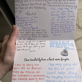 Austin Veterinary Emergency and Specialty - Reading their kind words and knowing they took the time to let us know that they are thinking of us is so thoughtful. - Emergency Pet Hospital Near Me - Austin, Texas