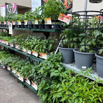 Walmart Supercenter - Herbs - Department Stores Near Me - Encinitas, California Walmart Supercenter - Herbs - Department Stores Near Me - Encinitas, California