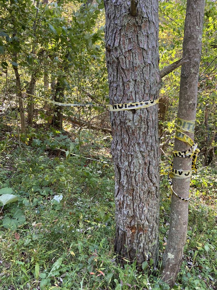 BLUE ROSE CABINS Updated September 2024 33 Photos & 52 Reviews