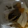 Taco Pros