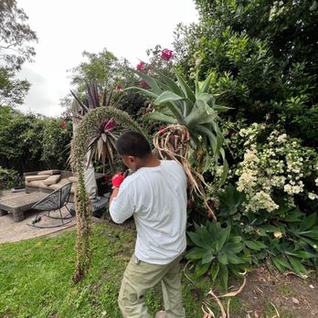Corta Tree And Garden - Work in progress - Gardeners Near Me