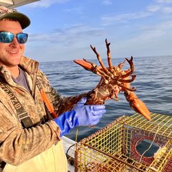 Captain Bobs Lobster Tours & Fishing Charters - 50 + year old Lobster