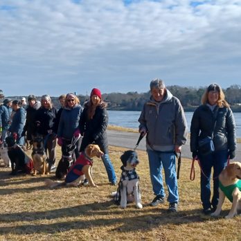 Wicked Smart Dogs - Pet Training Near Me