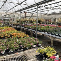 Crystal Creek Gardens