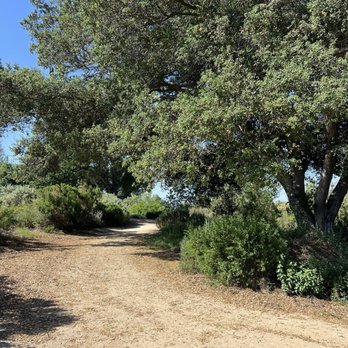 DeForest Park - Parks Near Me - Long Beach, California DeForest Park - Parks Near Me - Long Beach, California