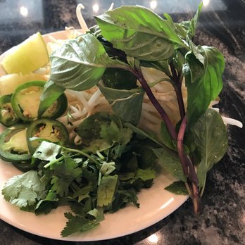 Pho Today - Basil bean sprouts - Vietnamese Near Me - Fort Lee, New Jersey Pho Today - Basil bean sprouts - Vietnamese Near Me - Fort Lee, New Jersey