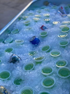 Brandi's Bar & Grill by null