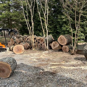 Citrine Tree Service - Oak Wood Left For Customer - Tree Services Near Me Citrine Tree Service - Oak Wood Left For Customer - Tree Services Near Me