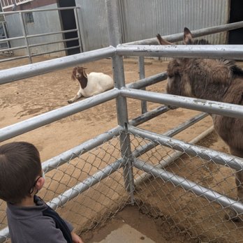 Montebello Barnyard Zoo - Petting Zoos Near Me - Montebello, California Montebello Barnyard Zoo - Petting Zoos Near Me - Montebello, California