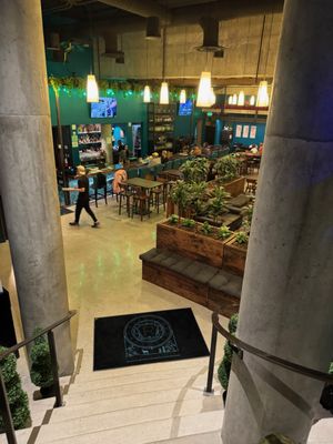 Rascals Public House by null