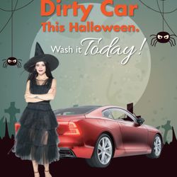 Buggy Car Wash and The Barking Bath - Dirty cars are scary! Wash yours today!