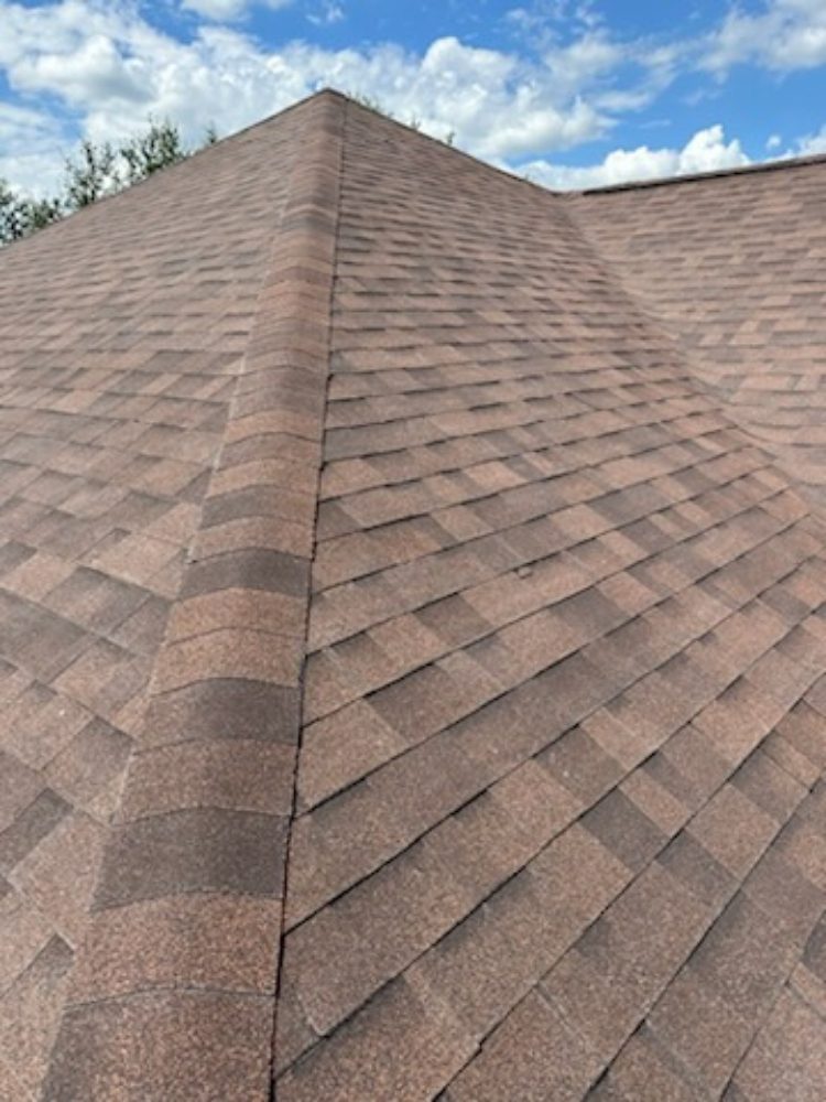 Slide of The Roof Goose