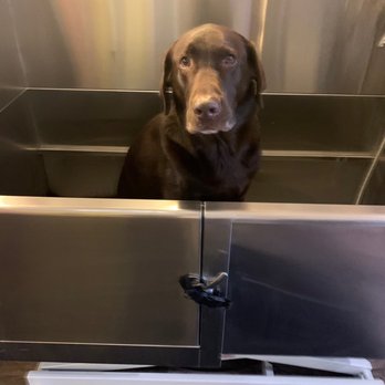 Philthy PAWS - Pet Groomers Near Me - Philadelphia, Pennsylvania