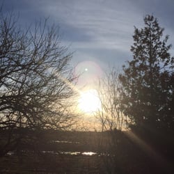 Karma Yoga Brooklin - How much more of a calming view do you need?!