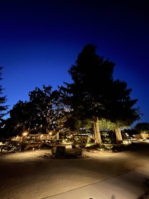 Hotel Ynez by null