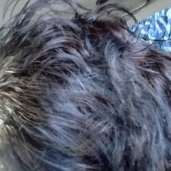 Jennifer's Hair Obsession - She colored all of my hair, darker brown than it naturally is.... Or did she??