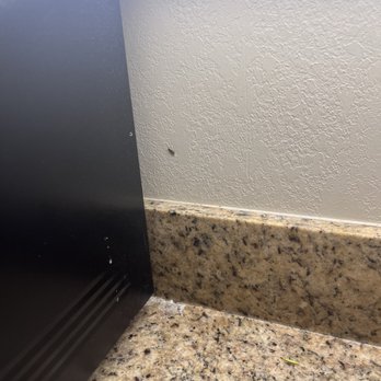 Camelback Resort - Bug infestation - Resorts Near Me - Tannersville, Pennsylvania Camelback Resort - Bug infestation - Resorts Near Me - Tannersville, Pennsylvania