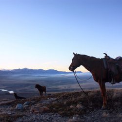 Waterton River Trail Rides