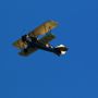 Coastal Air Tours