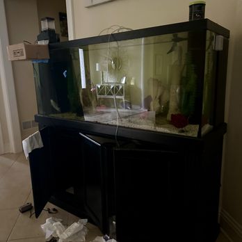 Outside Inside Aquarium & Pond Maintenance - This is the service you will get. - Aquarium Services Near Me Outside Inside Aquarium & Pond Maintenance - This is the service you will get. - Aquarium Services Near Me