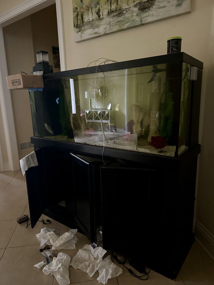 Outside Inside Aquarium & Pond Maintenance Image