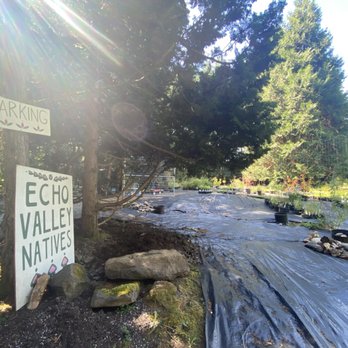 Echo Valley Natives - The front entryway - Nurseries & Gardening Near Me - Sandy, Oregon