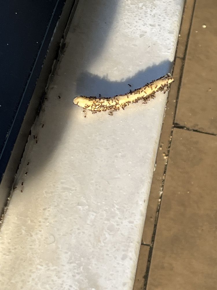 MCDONALD’S Updated October 2024 11 Photos & 33 Reviews 1320