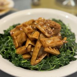 Bamboo shoots 4/18/26