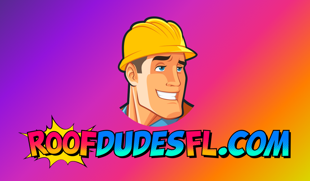 Slide of The Roof Dudes