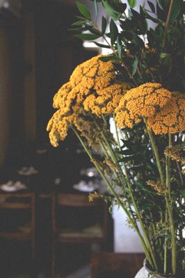 Osteria Radisa by null